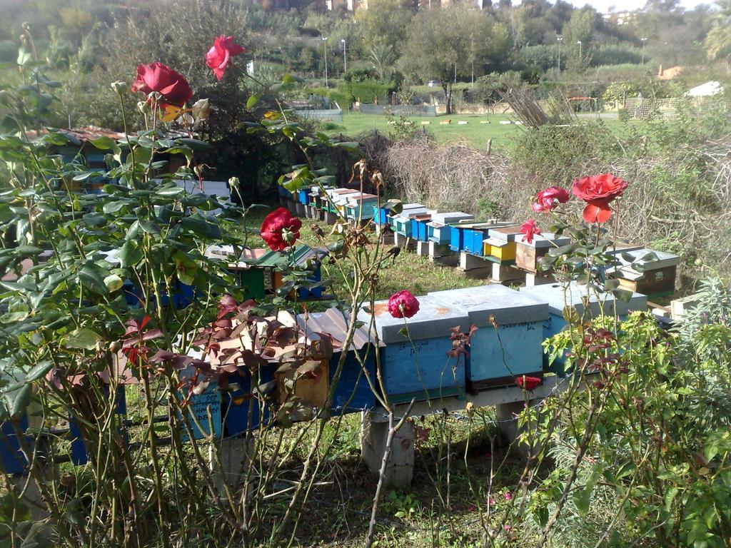 B&B Il Giardino Di Gabri Rome Exterior photo