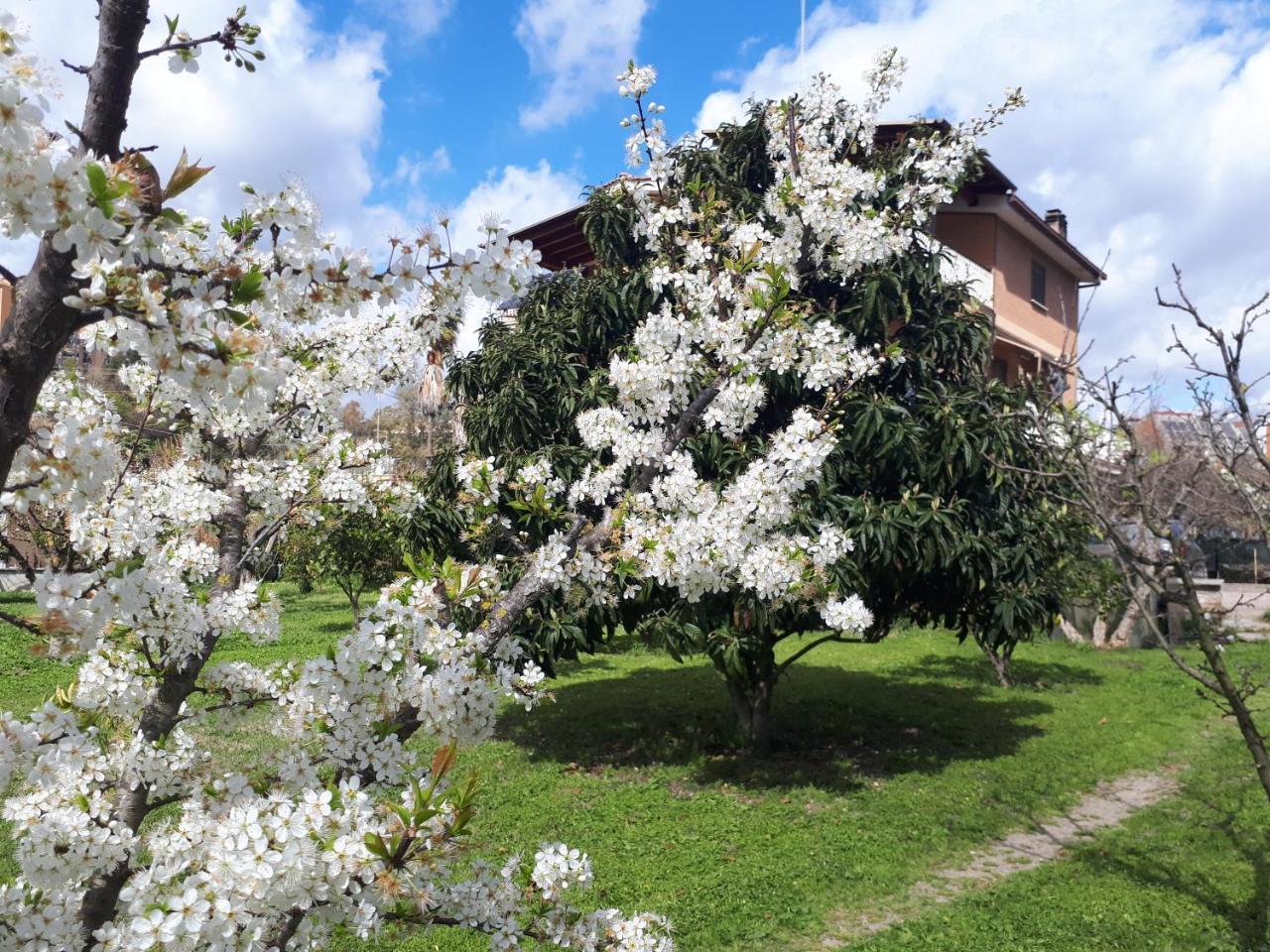 B&B Il Giardino Di Gabri Rome Exterior photo